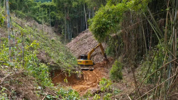 林间“藏龙”，竹海“卧虎”——emc易倍林业挖机广西侠客行